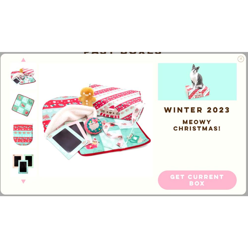 Winter 2023  Cat Kit Pusheen box HOME SWEET HOME